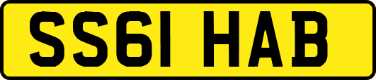 SS61HAB