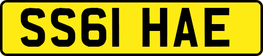 SS61HAE