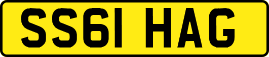 SS61HAG