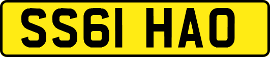 SS61HAO