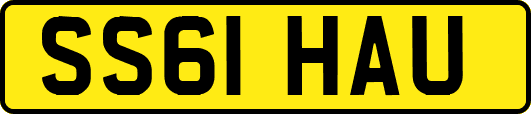 SS61HAU