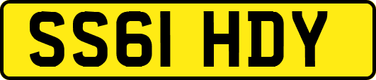 SS61HDY