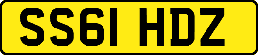 SS61HDZ