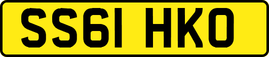 SS61HKO