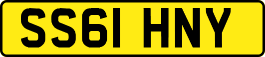 SS61HNY
