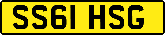 SS61HSG