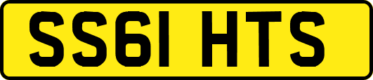 SS61HTS