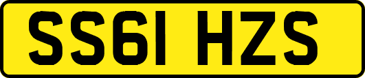 SS61HZS