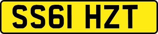 SS61HZT