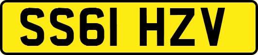 SS61HZV