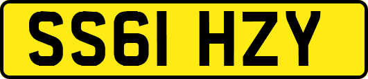 SS61HZY