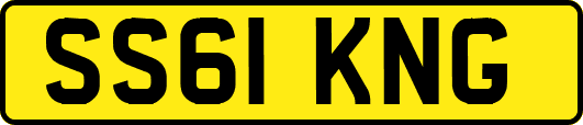SS61KNG