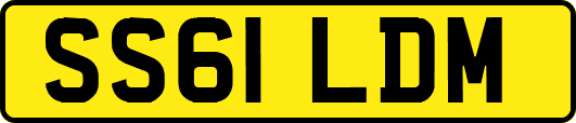 SS61LDM