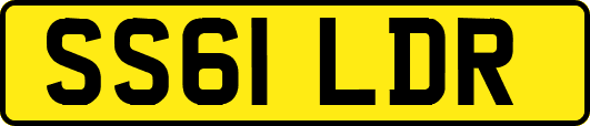 SS61LDR