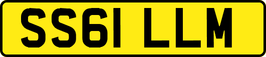 SS61LLM