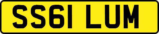 SS61LUM