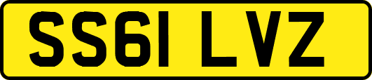 SS61LVZ
