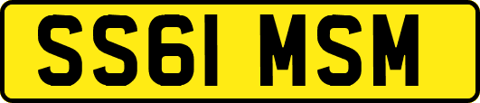 SS61MSM