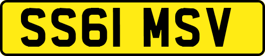 SS61MSV