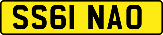 SS61NAO