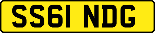 SS61NDG