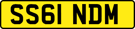 SS61NDM