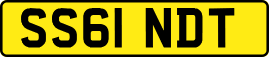SS61NDT