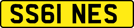 SS61NES