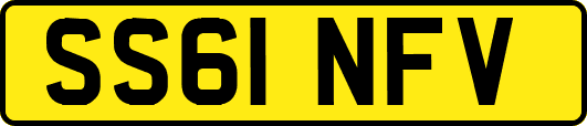 SS61NFV