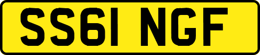 SS61NGF
