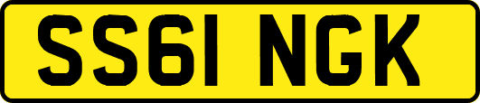 SS61NGK