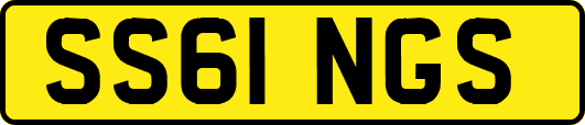 SS61NGS