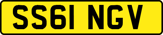 SS61NGV