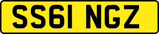 SS61NGZ