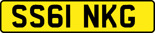 SS61NKG