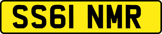 SS61NMR