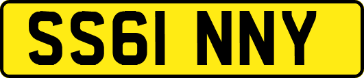 SS61NNY