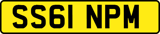 SS61NPM