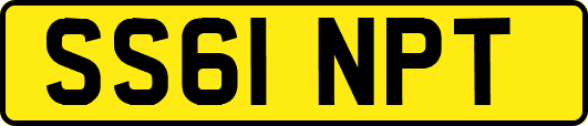 SS61NPT