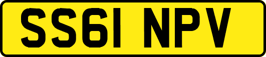 SS61NPV