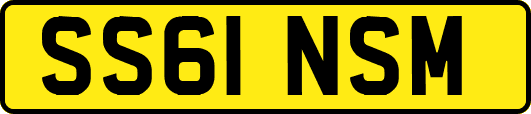 SS61NSM