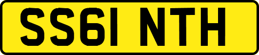 SS61NTH