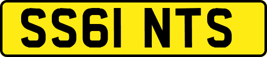 SS61NTS