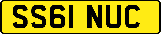 SS61NUC
