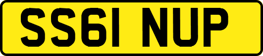 SS61NUP