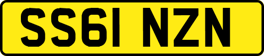 SS61NZN