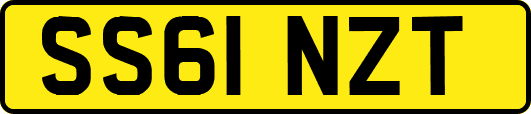 SS61NZT