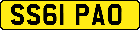 SS61PAO