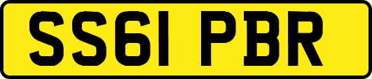 SS61PBR