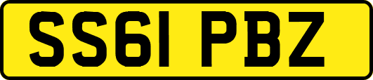 SS61PBZ